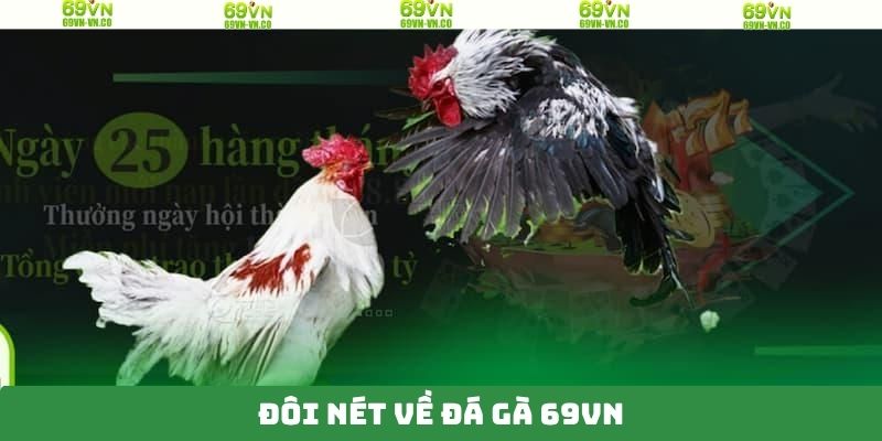 Tóm gọn vài điều về sảnh cược hot 2025