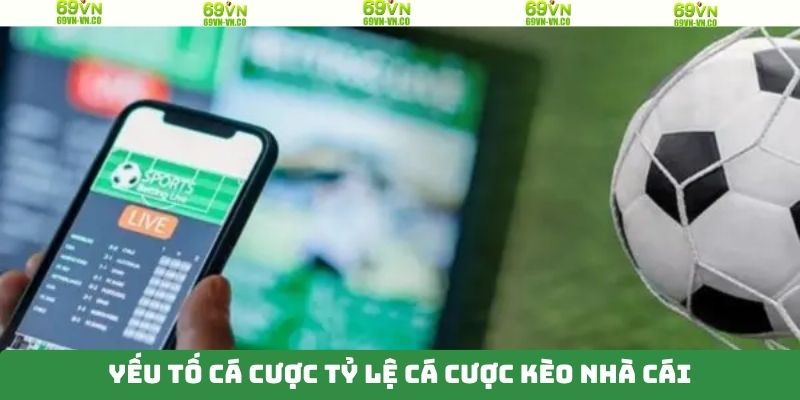 Tỷ Lệ Cá Cược Kèo Nhà Cái - Chính Xác Cao, Cập Nhật Nhanh 4 Yếu tố ảnh hưởng đến tỷ lệ nhà cái 69VN